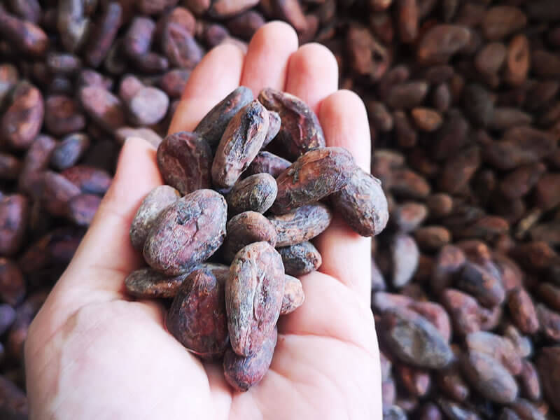 Kakaové boby z Peru pro hořkou čokoládu bez cukru